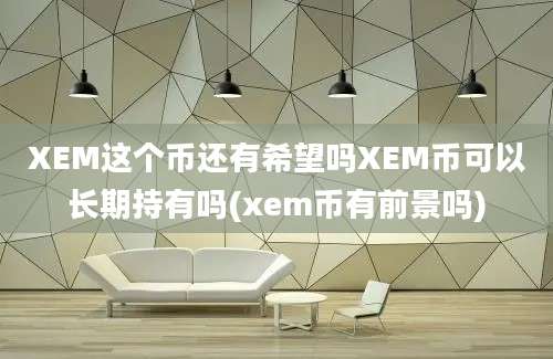 XEM这个币还有希望吗XEM币可以长期持有吗(xem币有前景吗)