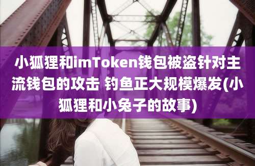 小狐狸和imToken钱包被盗针对主流钱包的攻击 钓鱼正大规模爆发(小狐狸和小兔子的故事)