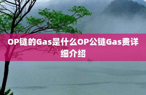 OP链的Gas是什么OP公链Gas费详细介绍