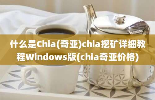 什么是Chia(奇亚)chia挖矿详细教程Windows版(chia奇亚价格)