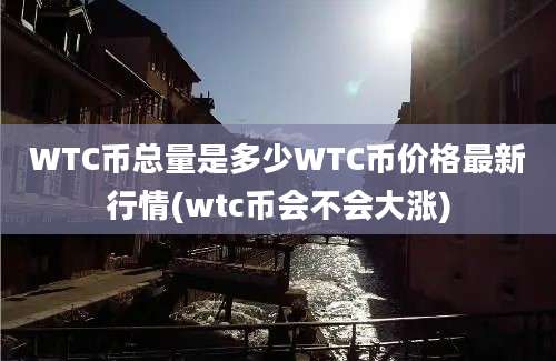 WTC币总量是多少WTC币价格最新行情(wtc币会不会大涨)