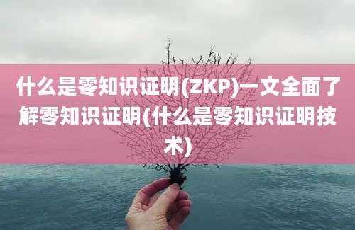 什么是零知识证明(ZKP)一文全面了解零知识证明(什么是零知识证明技术)