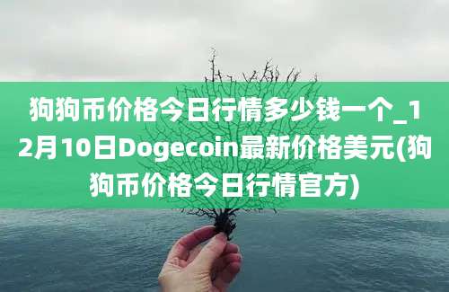 狗狗币价格今日行情多少钱一个_12月10日Dogecoin最新价格美元(狗狗币价格今日行情官方)