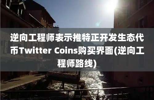 逆向工程师表示推特正开发生态代币Twitter Coins购买界面(逆向工程师路线)