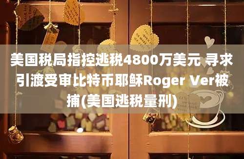 美国税局指控逃税4800万美元 寻求引渡受审比特币耶稣Roger Ver被捕(美国逃税量刑)