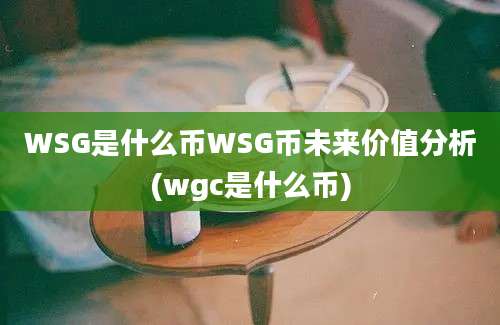 WSG是什么币WSG币未来价值分析(wgc是什么币)