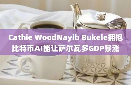 Cathie WoodNayib Bukele拥抱比特币AI能让萨尔瓦多GDP暴涨