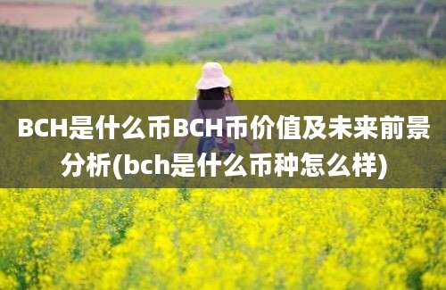 BCH是什么币BCH币价值及未来前景分析(bch是什么币种怎么样)