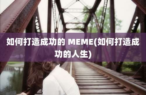 如何打造成功的 MEME(如何打造成功的人生)