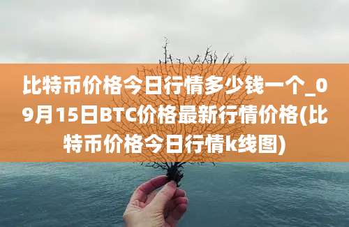 比特币价格今日行情多少钱一个_09月15日BTC价格最新行情价格(比特币价格今日行情k线图)