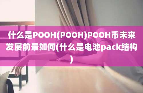 什么是POOH(POOH)POOH币未来发展前景如何(什么是电池pack结构)