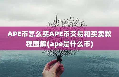 APE币怎么买APE币交易和买卖教程图解(ape是什么币)