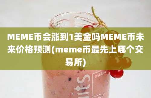 MEME币会涨到1美金吗MEME币未来价格预测(meme币最先上哪个交易所)