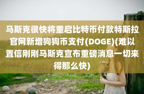 马斯克很快将重启比特币付款特斯拉官网新增狗狗币支付(DOGE)(难以置信刚刚马斯克宣布重磅消息一切来得那么快)