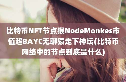 比特币NFT节点猴NodeMonkes市值超BAYC无聊猿走下神坛(比特币网络中的节点到底是什么)