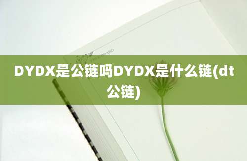 DYDX是公链吗DYDX是什么链(dt公链)