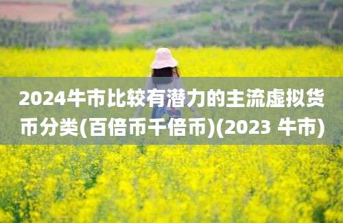 2024牛市比较有潜力的主流虚拟货币分类(百倍币千倍币)(2023 牛市)