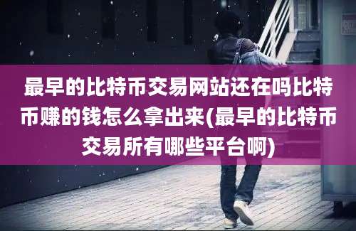 最早的比特币交易网站还在吗比特币赚的钱怎么拿出来(最早的比特币交易所有哪些平台啊)