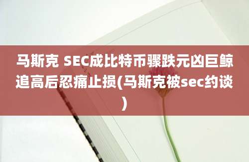 马斯克 SEC成比特币骤跌元凶巨鲸追高后忍痛止损(马斯克被sec约谈)