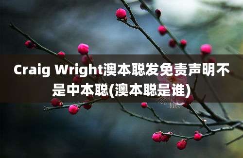 Craig Wright澳本聪发免责声明不是中本聪(澳本聪是谁)