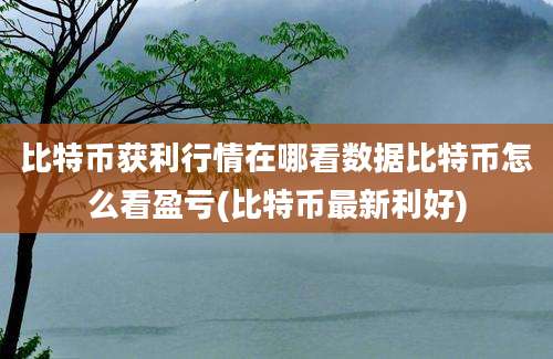 比特币获利行情在哪看数据比特币怎么看盈亏(比特币最新利好)