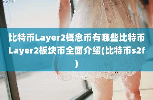 比特币Layer2概念币有哪些比特币Layer2板块币全面介绍(比特币s2f)