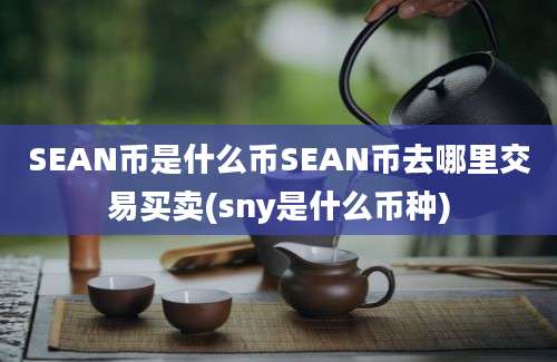 SEAN币是什么币SEAN币去哪里交易买卖(sny是什么币种)