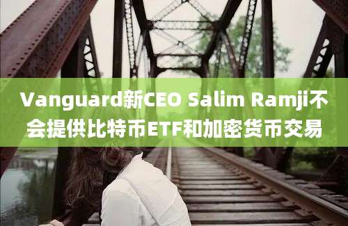 Vanguard新CEO Salim Ramji不会提供比特币ETF和加密货币交易