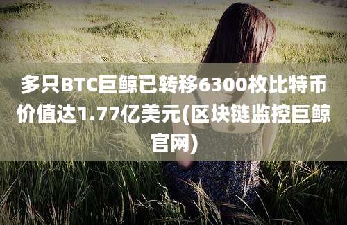 多只BTC巨鲸已转移6300枚比特币价值达1.77亿美元(区块链监控巨鲸官网)