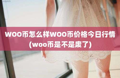 WOO币怎么样WOO币价格今日行情(woo币是不是废了)