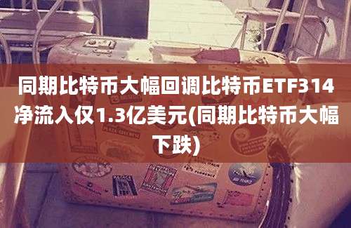 同期比特币大幅回调比特币ETF314净流入仅1.3亿美元(同期比特币大幅下跌)