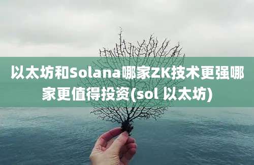 以太坊和Solana哪家ZK技术更强哪家更值得投资(sol 以太坊)