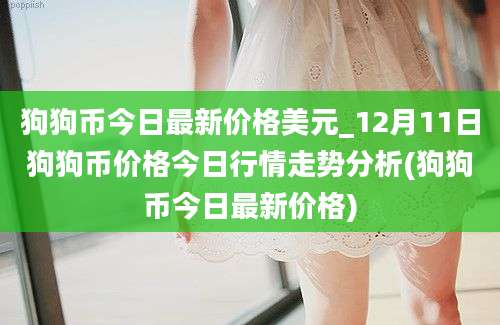 狗狗币今日最新价格美元_12月11日狗狗币价格今日行情走势分析(狗狗币今日最新价格)