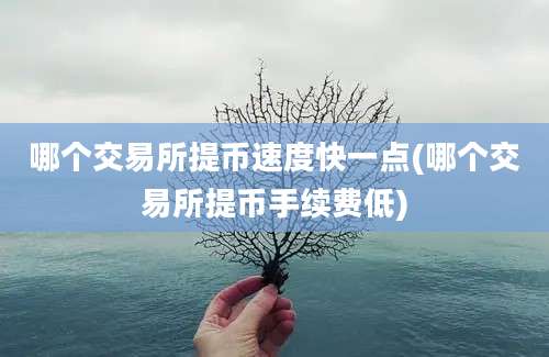 哪个交易所提币速度快一点(哪个交易所提币手续费低)