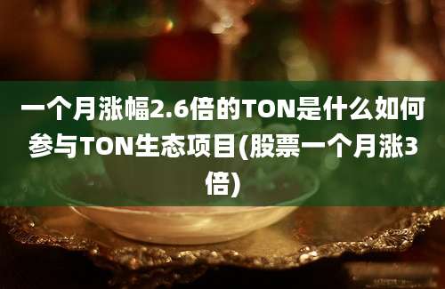 一个月涨幅2.6倍的TON是什么如何参与TON生态项目(股票一个月涨3倍)