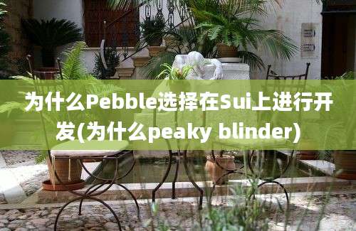 为什么Pebble选择在Sui上进行开发(为什么peaky blinder)