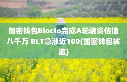 加密钱包Blocto完成A轮融资估值八千万 BLT急涨近100(加密钱包被盗)