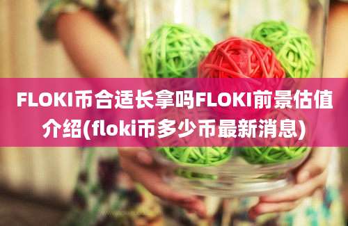 FLOKI币合适长拿吗FLOKI前景估值介绍(floki币多少币最新消息)