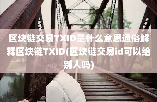 区块链交易TXID是什么意思通俗解释区块链TXID(区块链交易id可以给别人吗)