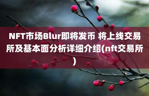 NFT市场Blur即将发币 将上线交易所及基本面分析详细介绍(nft交易所)