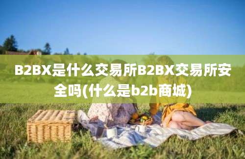 B2BX是什么交易所B2BX交易所安全吗(什么是b2b商城)