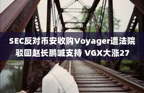 SEC反对币安收购Voyager遭法院驳回赵长鹏喊支持 VGX大涨27