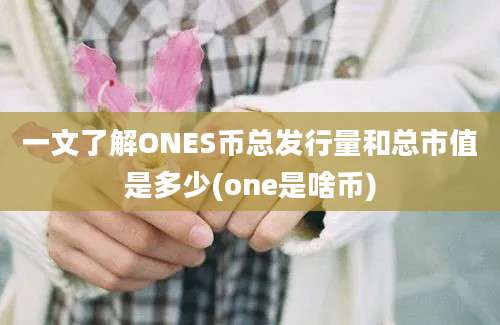 一文了解ONES币总发行量和总市值是多少(one是啥币)