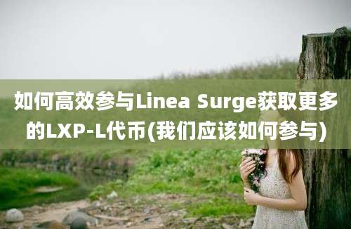 如何高效参与Linea Surge获取更多的LXP-L代币(我们应该如何参与)