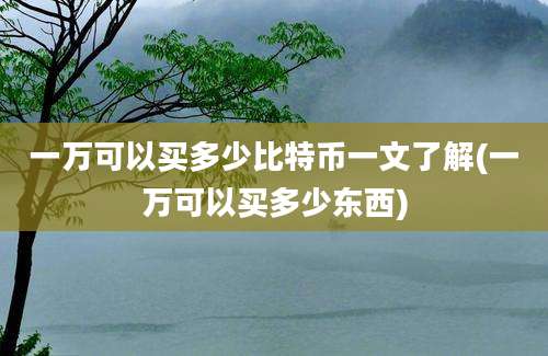 一万可以买多少比特币一文了解(一万可以买多少东西)