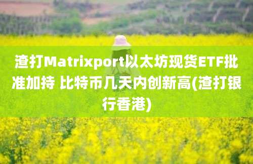 渣打Matrixport以太坊现货ETF批准加持 比特币几天内创新高(渣打银行香港)