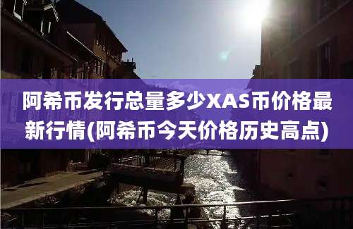 阿希币发行总量多少XAS币价格最新行情(阿希币今天价格历史高点)