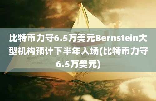 比特币力守6.5万美元Bernstein大型机构预计下半年入场(比特币力守6.5万美元)