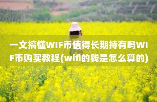 一文搞懂WIF币值得长期持有吗WIF币购买教程(wifi的钱是怎么算的)