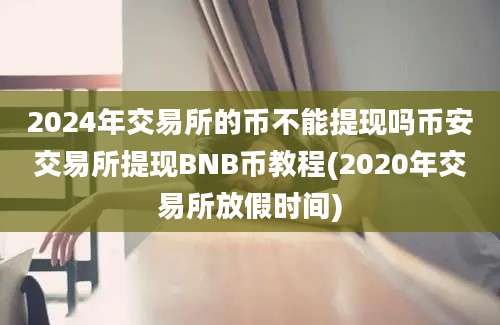 2024年交易所的币不能提现吗币安交易所提现BNB币教程(2020年交易所放假时间)